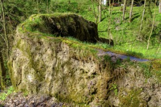 Growing rock, Steinerne Rinne in Usterling, Johannisfelsen natural monument, near Landau an der