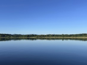 Wooded shore on Lake Starnberg with a view of the Zugspitze massif, Bavaria, Germany