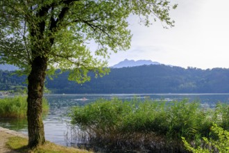 Lago di Levico, Levico Therme, Valsugana, Trentino, Italy