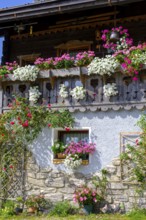 Old farmhouses in the Hoffe district, Sappada, Plodn, Carnic Alps, Julian Friuli, Italy