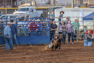 Young boy riding a sheep in a mutton busting event during the Hardin County Fair Rodeo in Savannah,