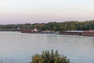 Tug boat pushing multiple barges on the Tennessee River near Savannah, Tennessee