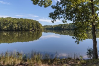 Man fishing in small boat on Pin Oak Lake in Natchez Trace State Park near Wildersville, Tennessee