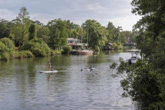 Young women paddleboarding on the Magnolia River in Magnolia Springs, Alabama