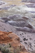Colorful deposits of the Chinle Formation exposed at Little Painted Desert County Park near