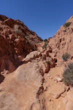 Rock formations along the Fire Canyon Overlook Trail at Valley of Fire State Park near Overton,