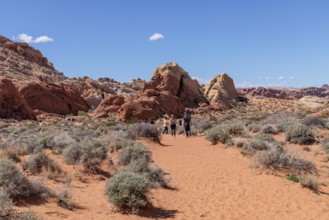 Hikers near the trailhead of the Fire Canyon Overlook Trail at Valley of Fire State Park near