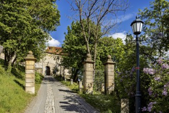 Stone entrance to a castle with cobblestone street and blue sky in the background, The Creuzburg in