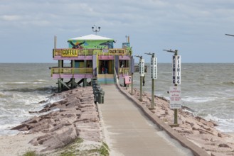 Pelicans and the Shark bar at the 61st Street Fishing Pier on the Texas Gulf Coast at Galveston,