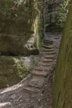 Timber formed stairs between rock formations along a hiking trail through Dismals Canyon near Phil