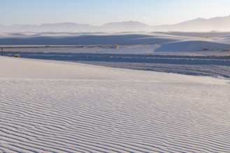 Patterns in the dunes at White Sands National Park in Alamogordo, New Mexico, USA