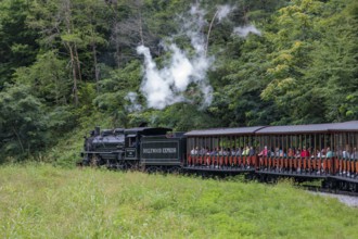 Dollywood Express steam locomotive carries guests throughout the Dollywood amusement park in Pigeon