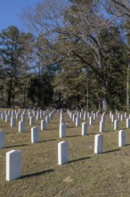 Headstones of many unknown confederate soldiers at the Enterprise Confederate Cemetery in