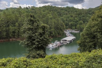 View of a marina on Fontana Lake as seen from the open air car of the Great Smoky Mountains