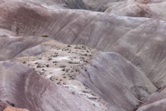 Colorful deposits of the Chinle Formation exposed at Little Painted Desert County Park near
