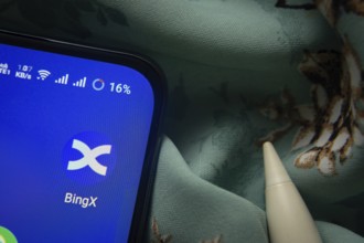 BingX app icon is seen on smartphone