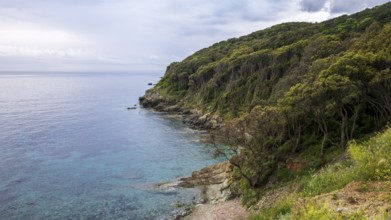 Coast, Cap Corse, Haute-Corse, Corsica, France