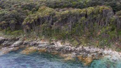 Aerial view, rocky coast, Corsica, France