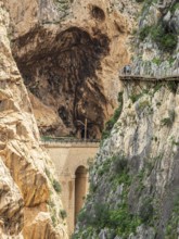 Tourists on the elevated path of the caminito del rey, along a deep gorge, Andalusia, Spain