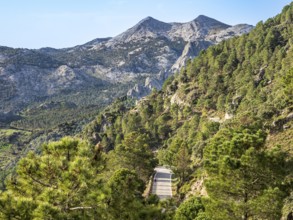Mountain road, Sierra de Grazalema, Andalusia, Spain