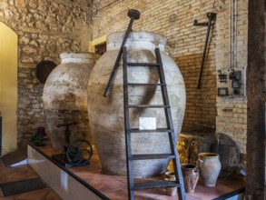 Museo del Aceite, olive oil museum and shop, village Cabra, Andalusia, Spain