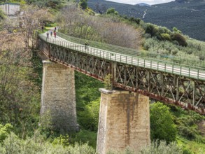 Cyclist on a bridge, cycle path Via Verde Del Aceite, old railroad track leading over a bridge, at