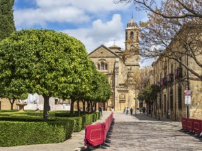 Capilla del Salvador (church), street prepared for semana santa procession, Ubeda, UNESCO World