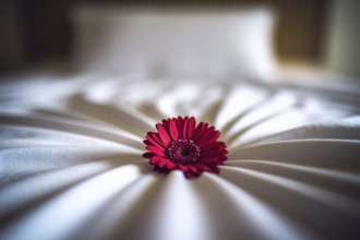 Symbolic red flower on white bedsheet as subtle visual metaphor for menstruation and female cycle.