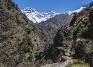 Woman hiking on trail Vereda de la Estrella, snow-covered mountain range in early spring, Sierra