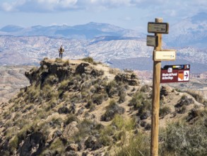 Cyclist looks over the desert, viewpoint, Gorafe Desert, UNESCO Granada Geopark, Granada province,