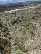Village Busquistar, view over the gorge of river Rio Trevelez, Sierra Nevada, Andalusia, Spain