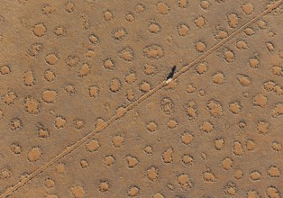 A vehicle of the balloon ground crew crosses a sandy plain with so-called Fairy Circles at the edge