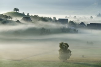 Autumn fog atmosphere in Swiss Plateau or Central Plateau, Hirzel, Canton of Zurich, Switzerland