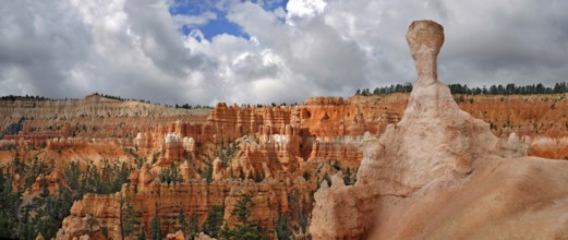 Thor's Hammer, a sandstone pillar or hoodoo formed by erosion in the Queens Garden, Bryce Canyon