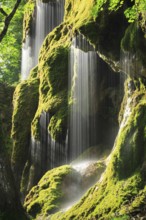 Schleierfälle, waterfalls at Ammer covered in moss, sunlight, Ammergau Alps, Bavaria, Germany