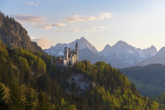 Castle rises majestically in front of an alpine panorama in the evening, Neuschwanstein, Schwangau