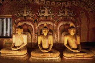 Buddha statues and murals in Dambulla Cave Temple, Dambulla, Sri Lanka