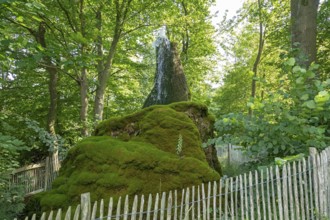 Wasserbaum, Ockensen, Salzhemmendorf, Lower Saxony, Germany