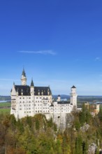 Neuschwanstein Castle towers over a colourful autumn forest under a clear sky, Schwangau,
