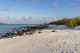 Gardner Bay beach, Isla Española, Galapagos, Ecuador