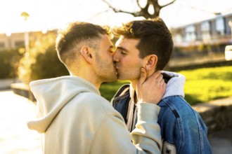 Romantic gay couple sharing a tender kiss in a park, enveloped in the warm glow of a breathtaking
