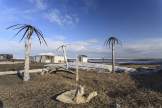 Palm trees made of whale skin, art, Inuit, Point Barrow, Barrow, Alaska, USA