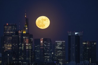 The full moon passes behind the Frankfurt banking skyline, Frankfurt am Main, Hesse, Germany