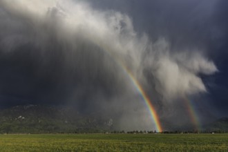 Rainbow, thundercloud, shower, evening light, summer, Loisach-Lake Kochel moor, Kochler mountains,