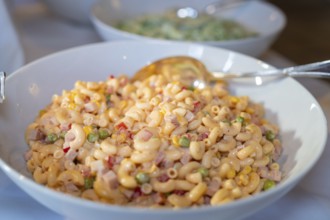 Bowl with colourful mixed pasta salad ready to serve, Europäischer Hof, Königsbach Stein, Germany