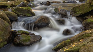 River Vydra, moss covered stones, Sumava National Park, Bohemia, Czech Republic