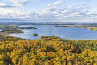 Aerial view, drone photo: Parsteiner See, also Parsteinsee, with surrounding forest in yellow and