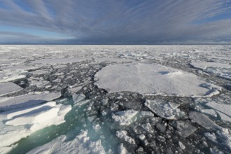 Edge of pack-ice, Arctic Ocean, Spitsbergen Island, Svalbard Archipelago, Svalbard and Jan Mayen,