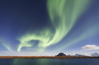 Northern Lights, Aurora Borealis, Haukland Beach, behind Sandoya Island, Vestvågøy, Lofoten, Norway