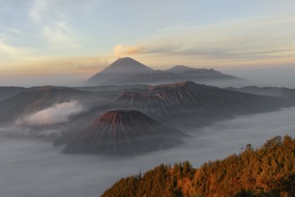 Sunrise over the smoking Gunung Bromo volcano, Bromo-Tengger-Semeru National Park, Java, Indonesia